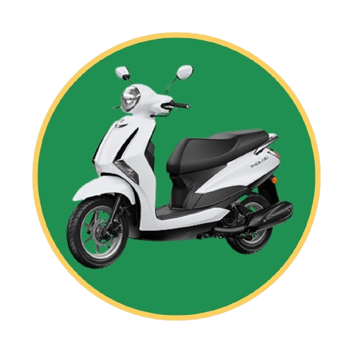 EV Scooter